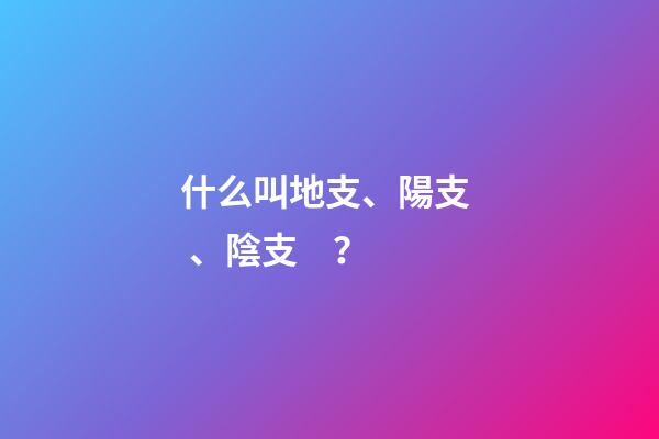 什么叫地支、陽支、陰支？